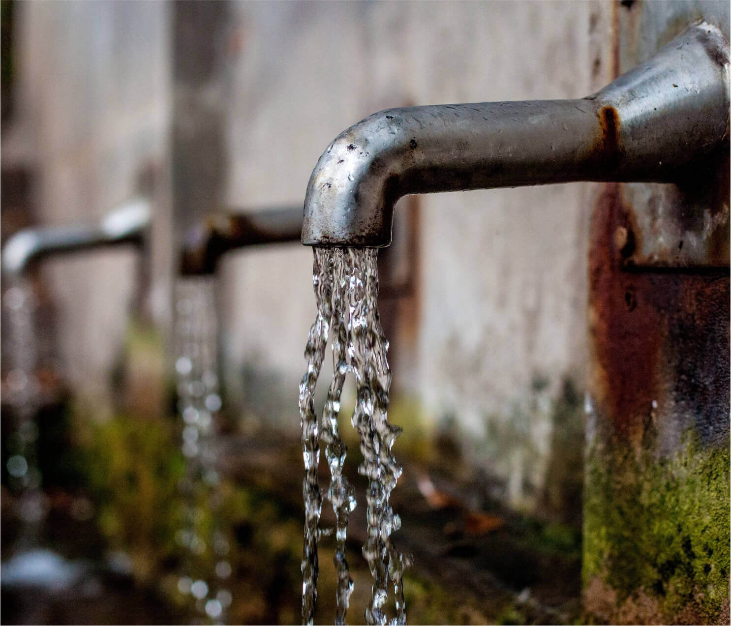 The neglected climate change solution The neglected climate change solution